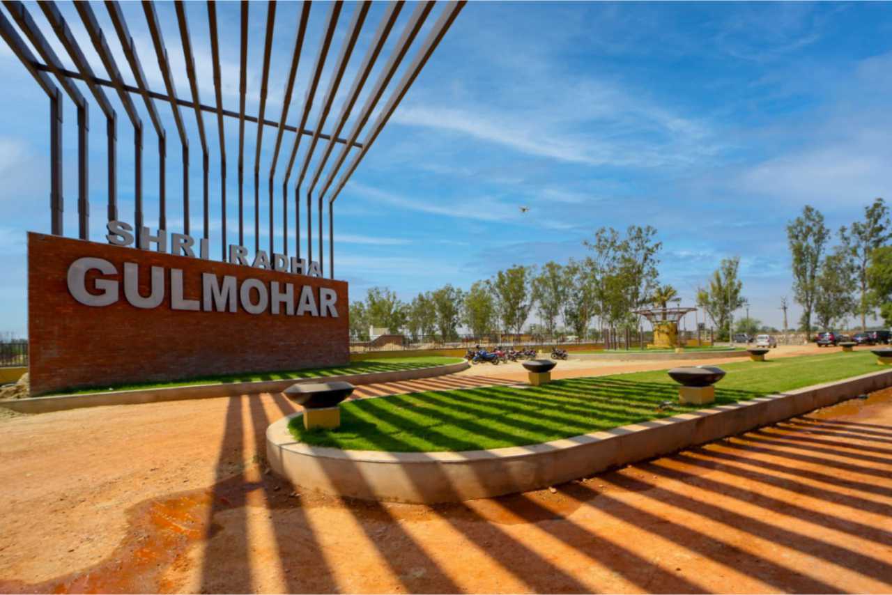 Radha Gulmohar 11